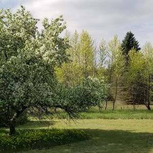 Meet your Posher, Jaime